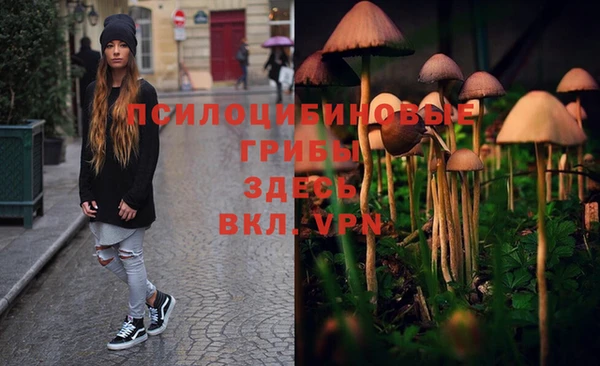 мяу мяу кристалл Новозыбков