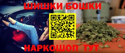 индика Гатчина