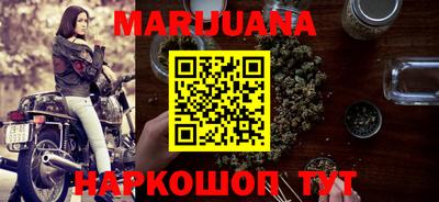 индика Гатчина