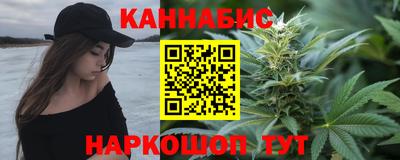 индика Гатчина