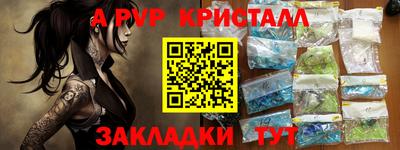 индика Гатчина
