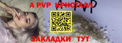 индика Гатчина