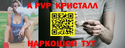 индика Гатчина