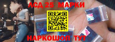 индика Гатчина