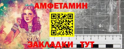 индика Гатчина