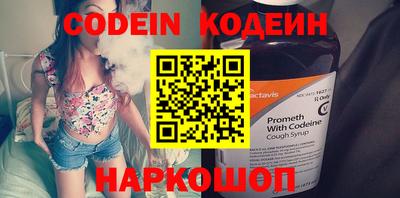 индика Гатчина