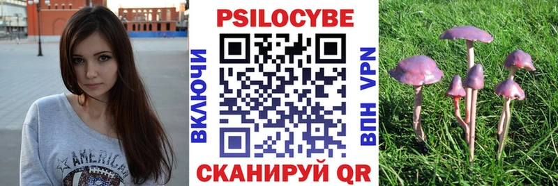 kraken рабочий сайт  купить наркотик  Корсаков  Псилоцибиновые грибы Magic Shrooms 