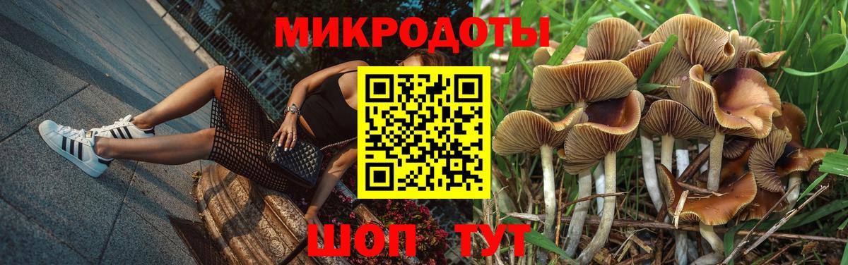 Псилоцибиновые грибы Magic Shrooms Корсаков