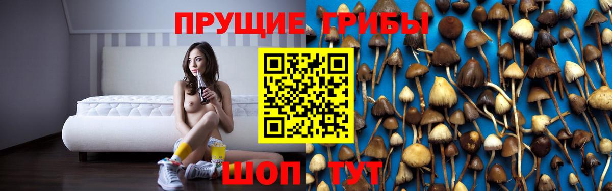 Галлюциногенные грибы ЛСД  Вход с VPN  Корсаков 